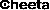 Cheeta