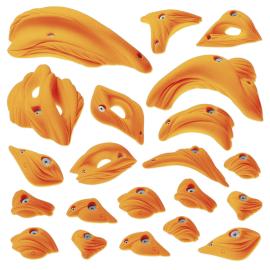 MAKAK MUSCLES M S02