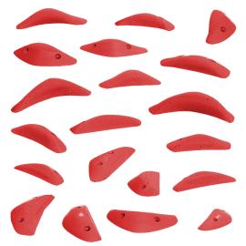 CHEETA Boomerang S S01