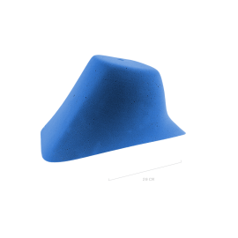 Motif H1